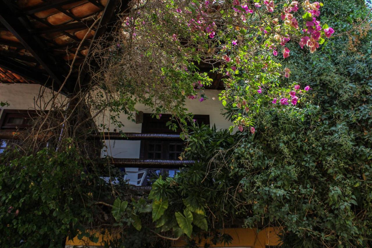 Hotel Pousada Vira Sol Trairi Exteriér fotografie